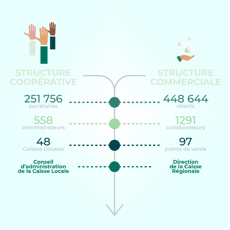 Infographie Fonctionnement Coopératif
